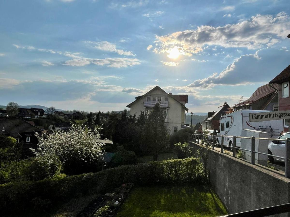 Ferienwohnung Donald Санкт-Андреасберг Экстерьер фото